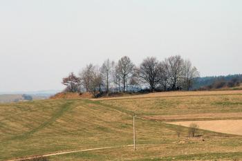 Celkový pohled na šance ( © Miroslav BITTER 04/2007)