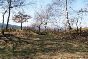 Pohled na původní vstupní místo do šancí ( © Miroslav BITTER 04/2007)