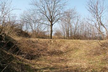 Pohled z příkopu na přístupovou cestu vedoucí do tzv. Uherské brány (© Miroslav BITTER 04/2007)