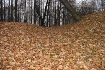 snad náznak příkopu v sev.části (© D Dohňanský, 11/2015)