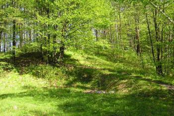  ( © Jan P. Štěpánek 05/2005)