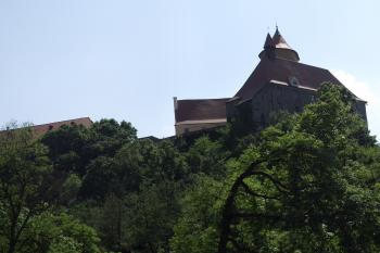  (© Michal Brůža, 05/2011)