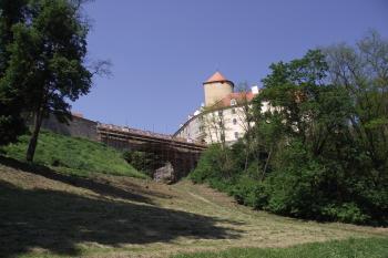  (© Michal Brůža, 05/2011)