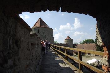  (© Michal Brůža, 05/2011)