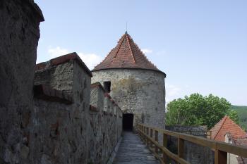  (© Michal Brůža, 05/2011)