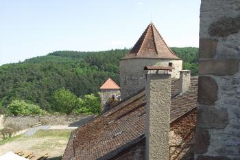  (© Michal Brůža, 05/2011)