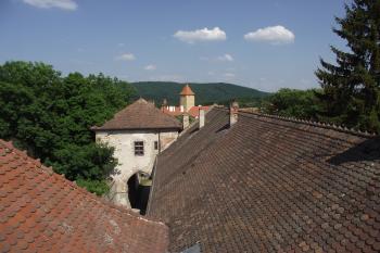  (© Michal Brůža, 05/2011)