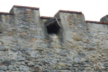 Piknůsek na čelní hradbě předhradí, stáří netuším (© Jan Večeřa, 06/2015)