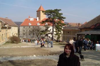 Pohled na vnitřní hrad od západní přístupové cesty (© Dalibor Král, 04/2005)