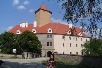 Pohled na trojkřídlý hradní palác s břitovou věží (© Dalibor Král, 08/2006)