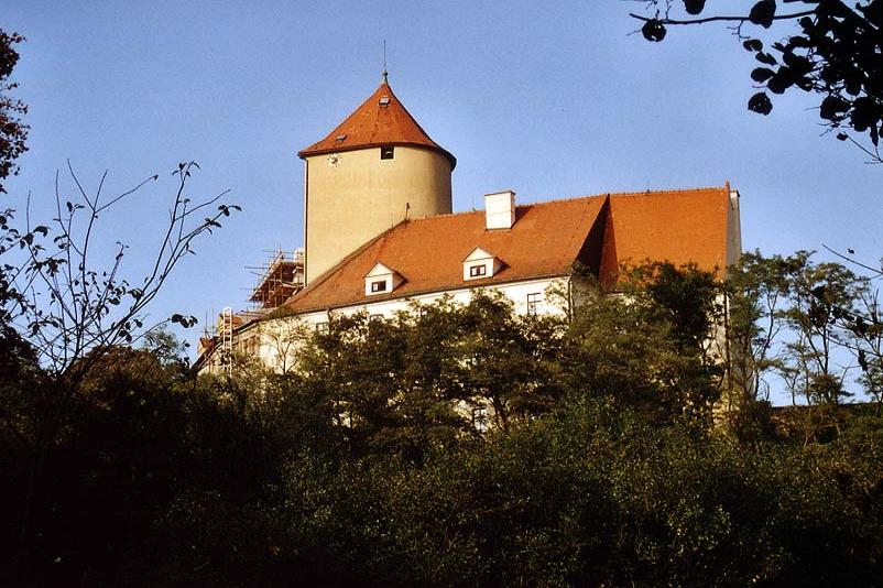 Veveří