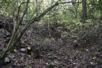 Pohled do bývalých prostorů paláce ( © Iva Spurná 28.9.2009)