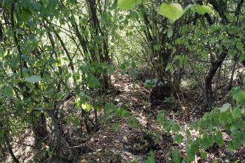 Obvodová hradba ( © Iva Spurná 28.9.2009)