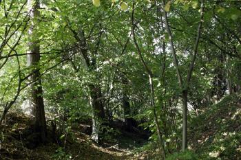 Příkop ( © Iva Spurná 28.9.2009)