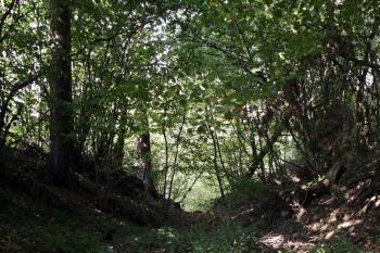 Příkop ( © Iva Spurná 28.9.2009)