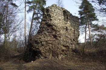  (© Michal Brůža, 03/2012)