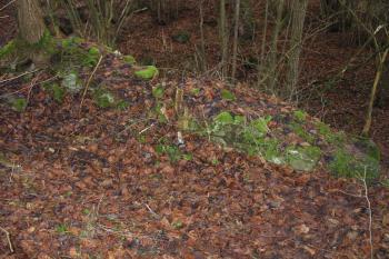 hradební zeď nad záp.příkopem (© D Dohňanský, 12/2014)