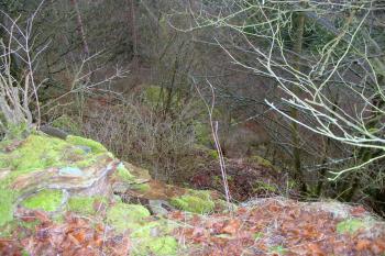 strmý svah na východě (© D Dohňanský, 12/2014)