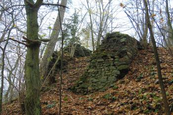 Před hradbu vysunutá vstupní brána na sz. (© Dušan Dohňanský 11/2020)