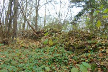 Půlící středová hradba mezi předhradím /vlevo/ a hradním jádrem (© Dušan Dohňanský 11/2020)