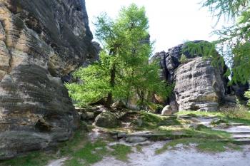  ( © František Kinař 05/2017)