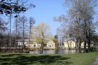 Vlčice
