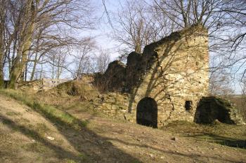zřícenina hradu Vikštejn (© Vlastislav Mareček, 03/2008)