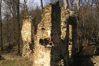 zřícenina hradu Vikštejn (© Vlastislav Mareček, 03/2008)