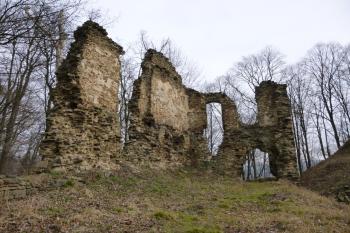 zřícenina hradu Vikštejn (© Vlastislav Mareček, 03/2014)