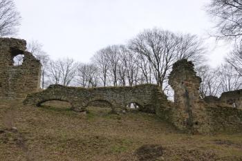 zřícenina hradu Vikštejn (© Vlastislav Mareček, 03/2014)