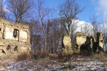 pohled od jihozápadu na vstupní objekt s průjezdem brány v severní části hradu ( © Jan P. Štěpánek 02/2008)