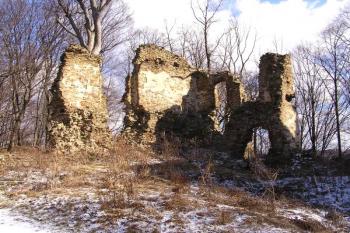 východní část zříceniny vstupního traktu v severní části velkého předhradí ( © Jan P. Štěpánek 02/2008)