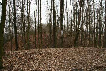 Celkový pohled na hrad (© Petr Nožička, 02/2008)
