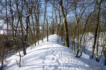 Příkp a val na jižní straně. (© MICHAL VAŠATA, 01/2010)