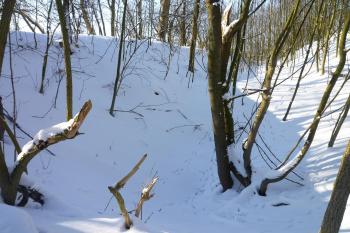 Tato jáma je pozůstatkem hradní studny. (© MICHAL VAŠATA, 01/2010)