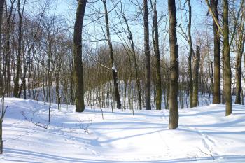 Pohled na příkop a jádro z místa kde stála věž. (© MICHAL VAŠATA, 01/2010)