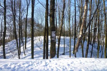 Pohled z předhradí. (© MICHAL VAŠATA, 01/2010)