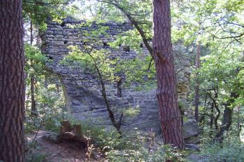 Vítkovec (© Rodochrozit, 07/2006)