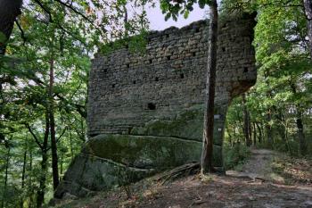 Vítkovec ( © Luděk Pitter 09/2006)