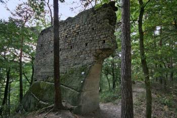 Vítkovec ( © Luděk Pitter 09/2006)