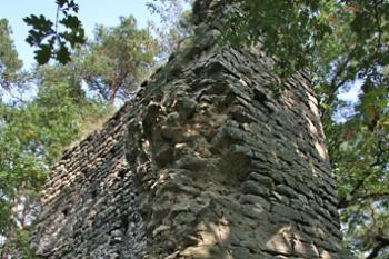Vítkovec ( © Luděk Pitter 09/2006)