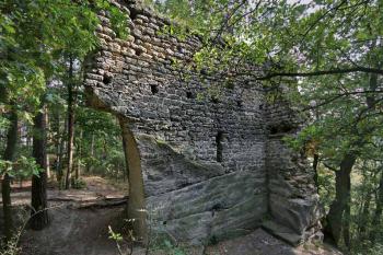 Vítkovec (© Luděk Pitter 09/2007)