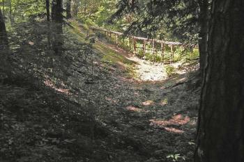 Příkop ( © Luděk Pitter 06/2005)