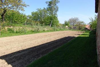 Pozůstatky zavezeného příkopu na západní straně ( © Roman Řezáč 05/2005)