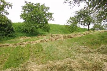 Příkop na jižní straně ( © Roman Řezáč 06/2005)