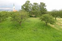 Švábenice