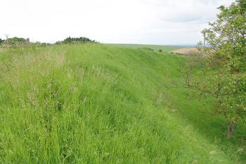 Vnější okraj jižního příkopu, se srovnaným,ale znatelným valem ( © Roman Řezáč 06/2005)