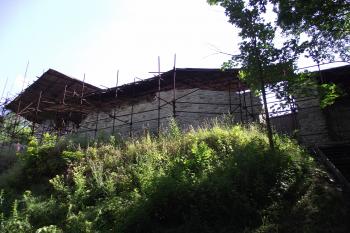  (© Michal Brůža, 07/2011)