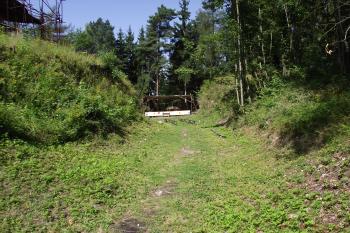  (© Michal Brůža, 07/2011)