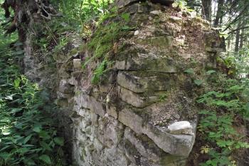 (© Michal Brůža, 07/2011)
